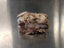 Sheep Brain - in skull cube
