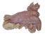 Sheep Uterus