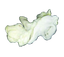 Display - Turkey Cloaca