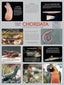 Wall Chart - Chordata