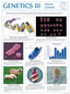 Wall Chart - Genetics 3
