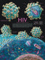 Wall Chart - HIV