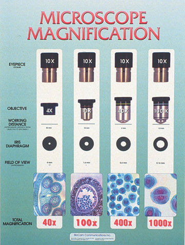 Wall Chart - Microscope Mag.