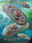 Wall Chart - Paramecium