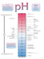 Wall Chart - pH