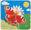 Lifecycle Layer Puzzle - Butterfly