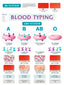 Wall Chart - Blood Types