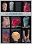 Wall Chart - Porifera