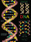 Wall Chart - DNA